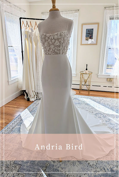 andria-bird
